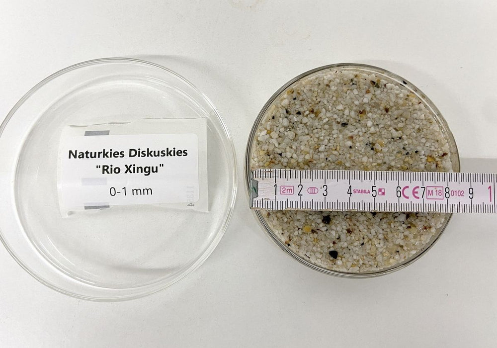 Naturkies Diskuskies Rio Xingu weiß (0-1 mm)