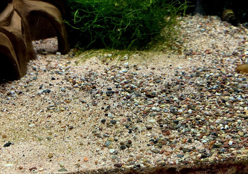 Naturkies Rio Negro (0-2 mm)