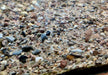 Naturkiesmischung Amazonas (1-8 mm) 