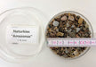 Naturkiesmischung Amazonas (1-8 mm) 