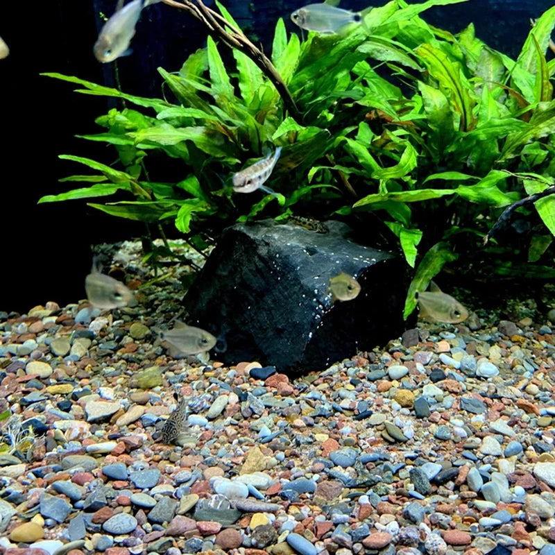 Naturkiesmischung Aquarium