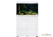 OASE STYLELINE 175 - Aquarienkombination