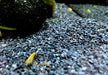 Naturkies Riversand black (0-1,8 mm)