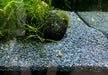 Naturkies Riversand black (0-1,8 mm)