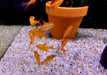 zzz_8x Roter Cherrysalmler Muzel - Hyphessobrycon sp. „Muzel Red Cherry“ aqua-teck