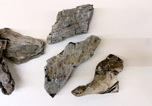 Mini-Landschaft "SEIRYU" Gestein "S" 0,8-1,2 kg aqua-teck