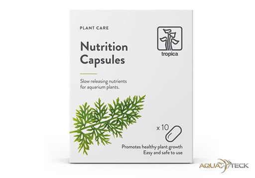 Tropica 10 Nutrition Capsules - Düngekapseln Bodengrunddünger Langzeitdünger aqua-teck