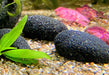 Zen Pebbles Preis je 100g