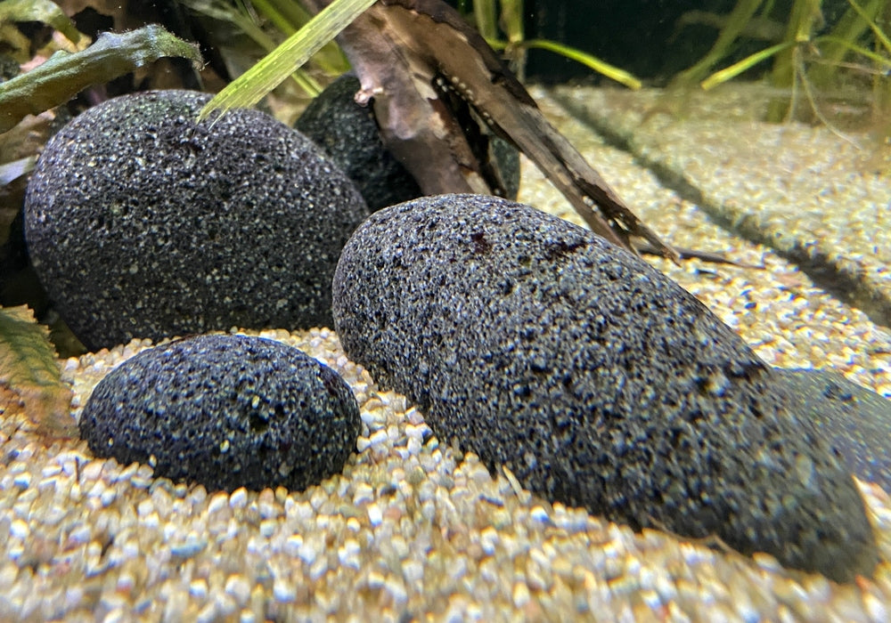 Zen Pebbles Preis je 100g