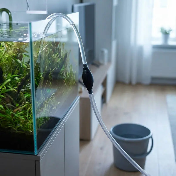 Schlauch mit Ansaugpumpe führt vom Aquarium in einen tiefer stehenden Eimer