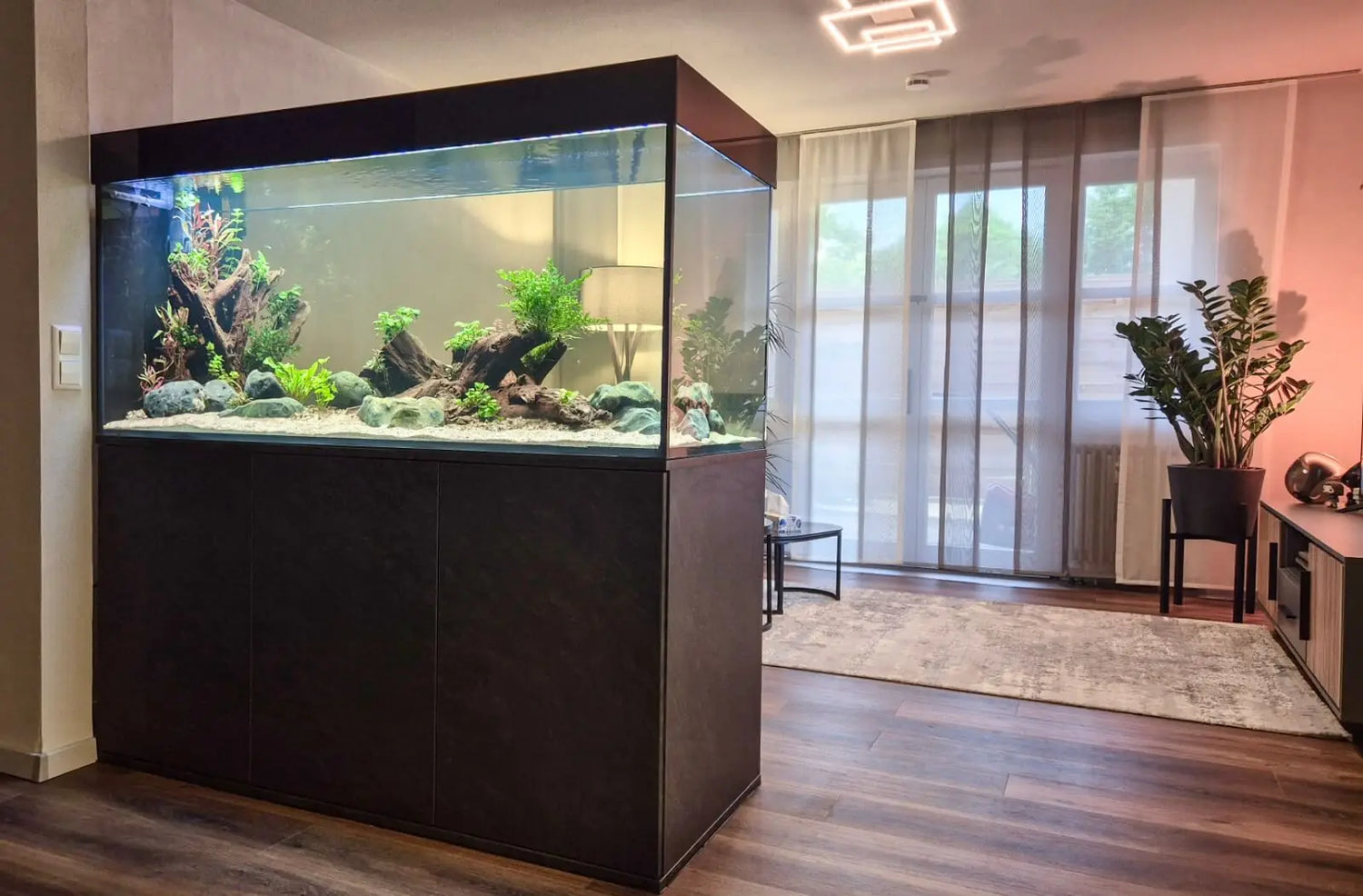 Aquarium als Raumteiler mit Aquascape aus Wurzelholz und Pflanzen in modernem Wohnzimmer