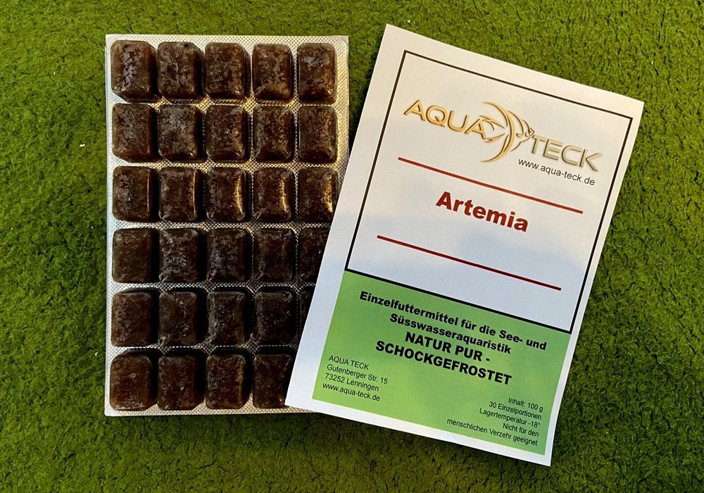 100g Artemia - Frostfutter