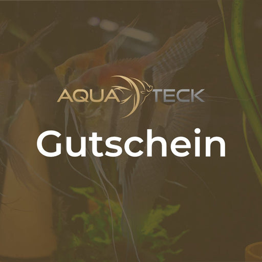 AQUA TECK Geschenkgutschein aqua-teck