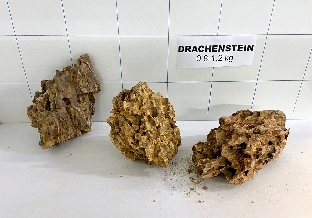 Drachenstein S - 0,8-1,2 kg aqua-teck
