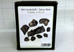 Seiryu Rock Set für 60l Aquarium