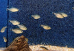 Schilfsalmler - Hyphessobrycon elachys aqua-teck