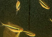 Schwarzer Neon - Hyphessobrycon herbertaxelrodi aqua-teck
